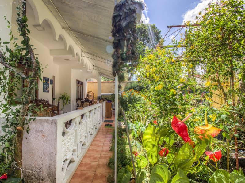 Guesthouse Kind And Love Hikkaduwa Exterior photo